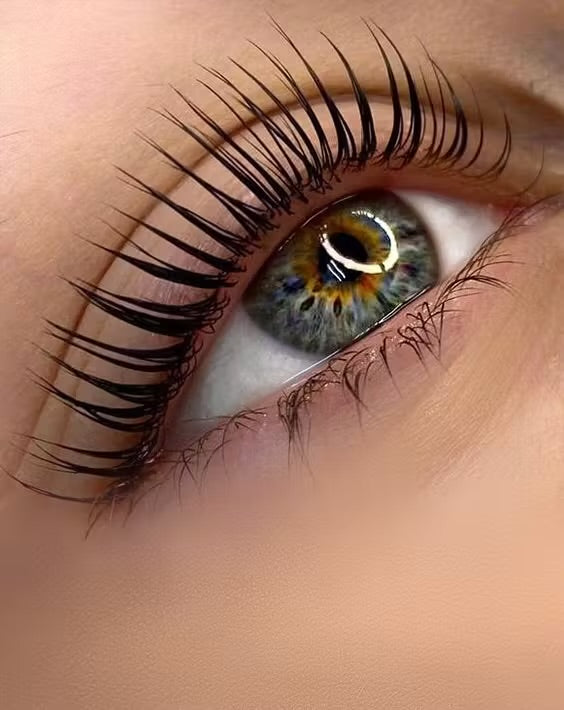 Lashlifting